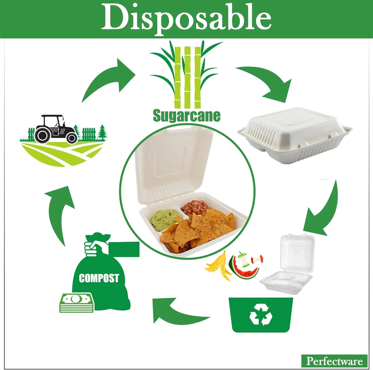 100% Compostable 3 Comp Take Out Food Containers 9x9. 25 Containers, Natural Disposable Bagasse, Eco-Friendly Biodegradable Made of Sugar Cane, Green (PW3comptbagasse-25ct)