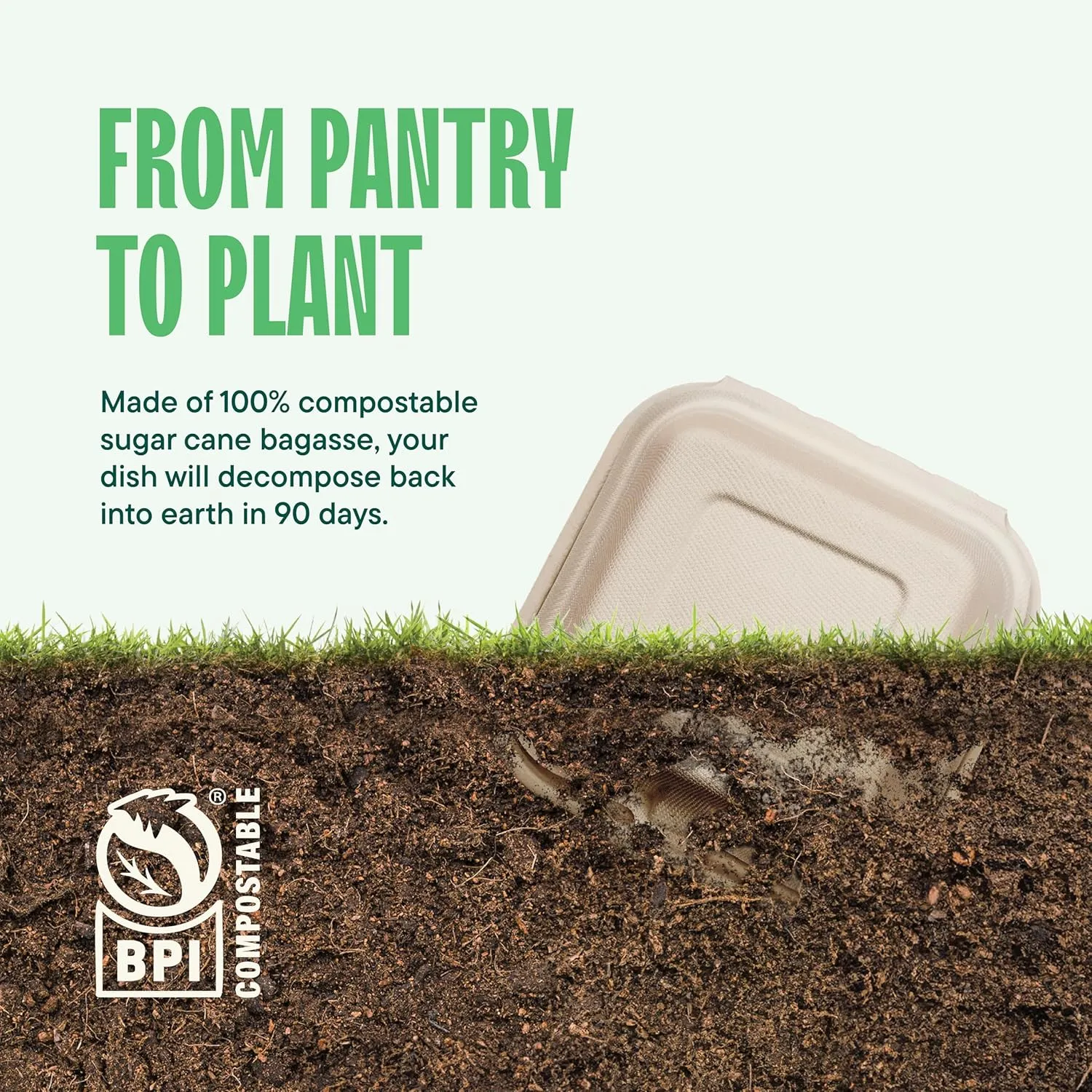 100% Compostable Clamshell Take Out Food Containers [6x6" 50-Pack] Heavy-Duty Quality to go Containers, Natural Disposable Bagasse, Eco-Friendly Biodegradable Made of Sugar Cane Fibers