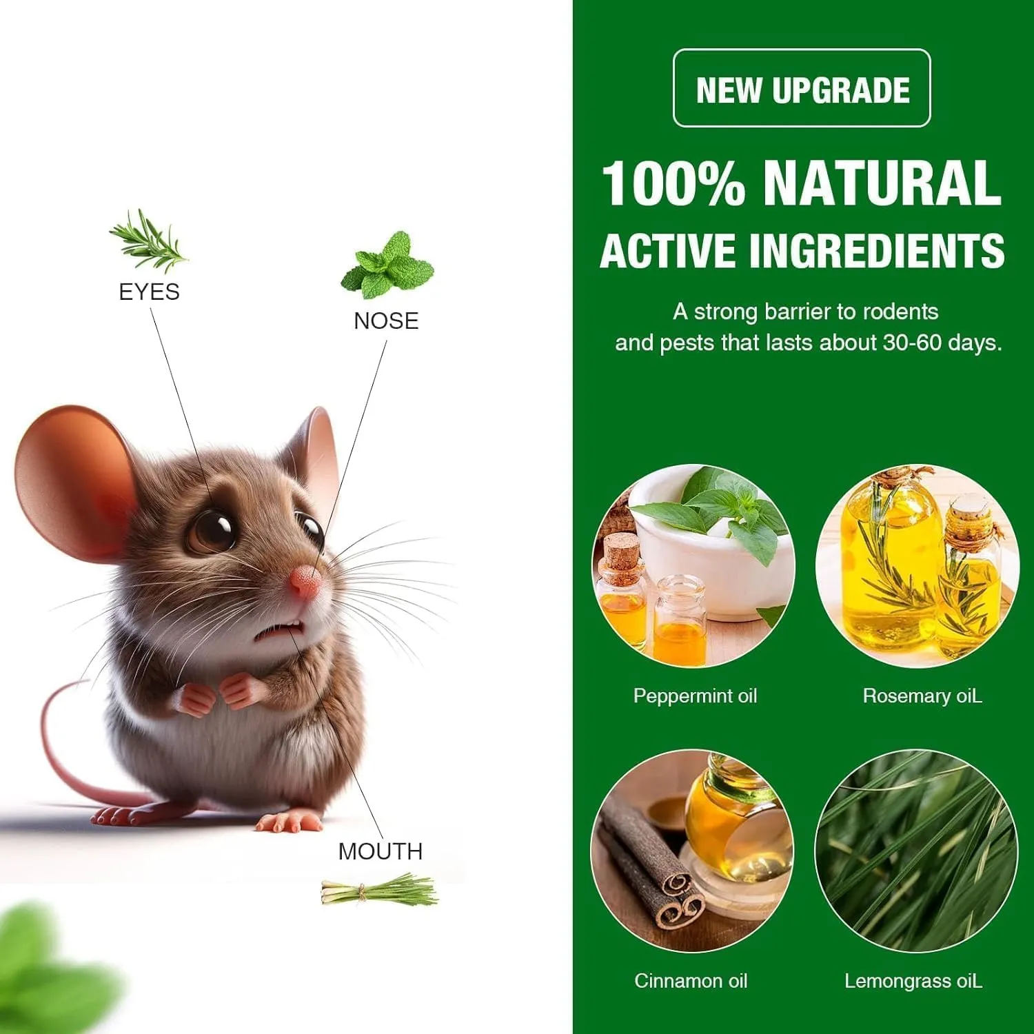24P Rodent Mice Repellent, Peppermint Oil to Repel Mice and Rats, Rodent Mouse Repellent for Car, Natural Ingredients Rat Repellent Balls Deterrent Indoor, Family & Pet Safe