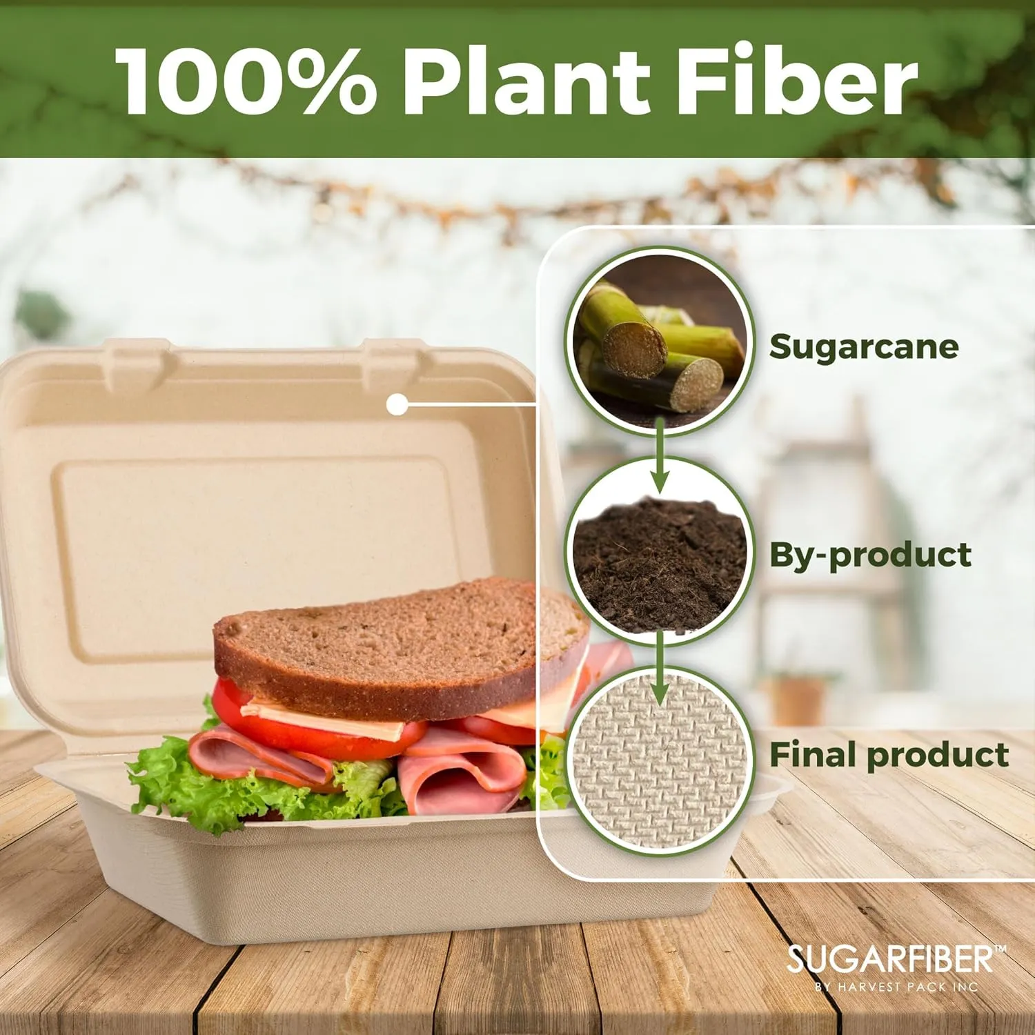 [50 COUNT]Harvest Pack PFAS FREE 9 X 6" Compostable Clamshell Food Containers, Heavy-Duty Hinged Container, Disposable Bagasse Eco-Friendly Natural Takeout to go Box, Made from Sugarcane Plant