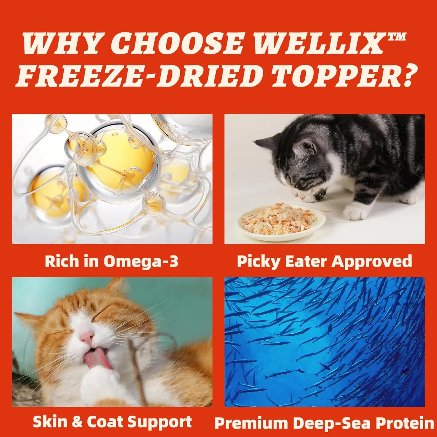 7.5oz Dog & Cat Food Topper - Antarctic Krill Treats Freeze Dried Egg Yolk& Chicken Flavor Low Calorie - Cognitive and Skin & Coat Support - Healthy Cat Treats for Indoor Cats
