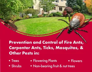 7.9% Bifenthrin Insecticide - 32 Ounces - (Compare to Leading Brands) – Professional Insect Control - Kills on Contact - Fire Ants, Ticks & More
