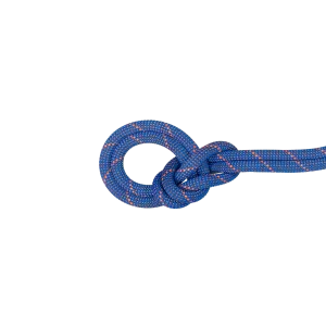 9.0 Crag Sender Dry Rope