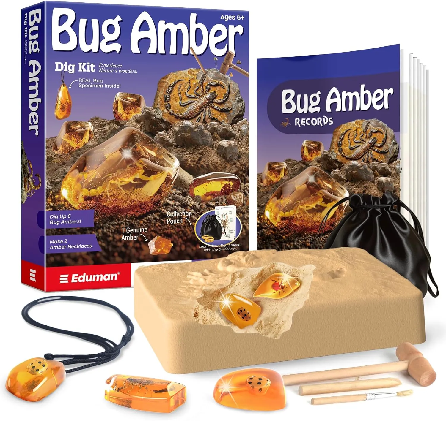 Amber Dig Kit - 6 Artificial Insect Resin Specimens, Bugs Fossil Excavation Set with Natural Amber, STEM Inspired Educational Toy for Kids Ages 6-12, Birthday Ideal Gift for Boys & Girls