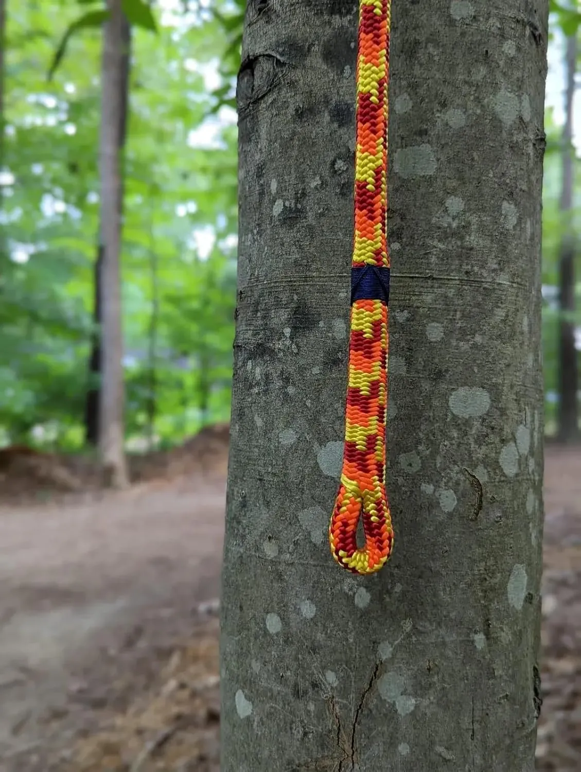 Arbo Space 11.5mm Huracan 24 Strand Double Braid Arborist Semi-Static MBS 6,800lbs Climbing Line(Eye Splice - 24 Strand Climbing, 120ft.)