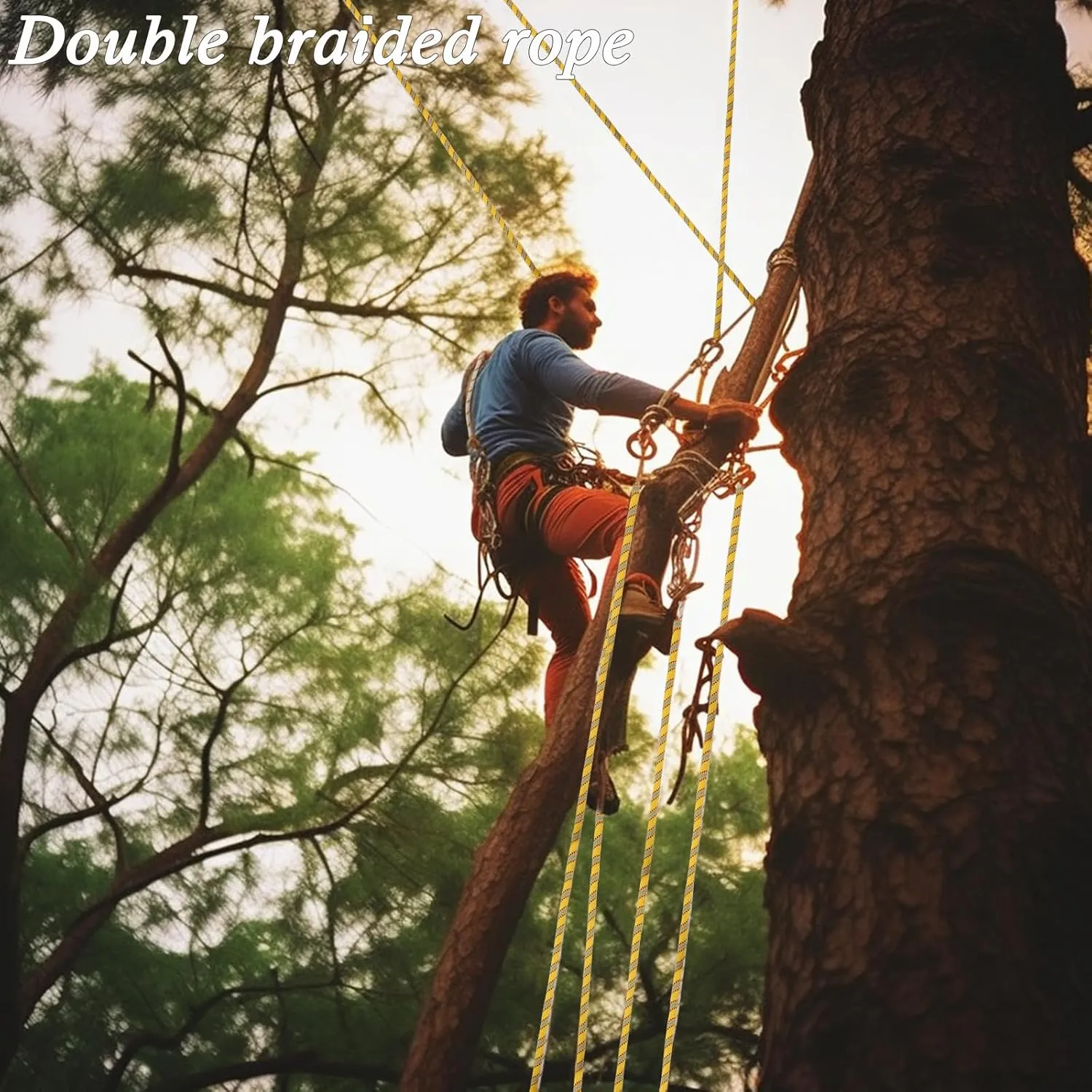 Arborist Rope Climbing Rope(1/2in x 100ft) 48 Strands Tree Rope for Climbing Tree Swing Pulling Sailing