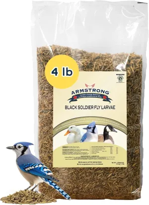 Armstrong Dried Black Soldier Fly Larvae, 4 Pounds - High-Calcium, Natural Mealworm Alternative for Jays, Orioles, Wild Ducks and Geese - Ideal for Outdoor Feeders