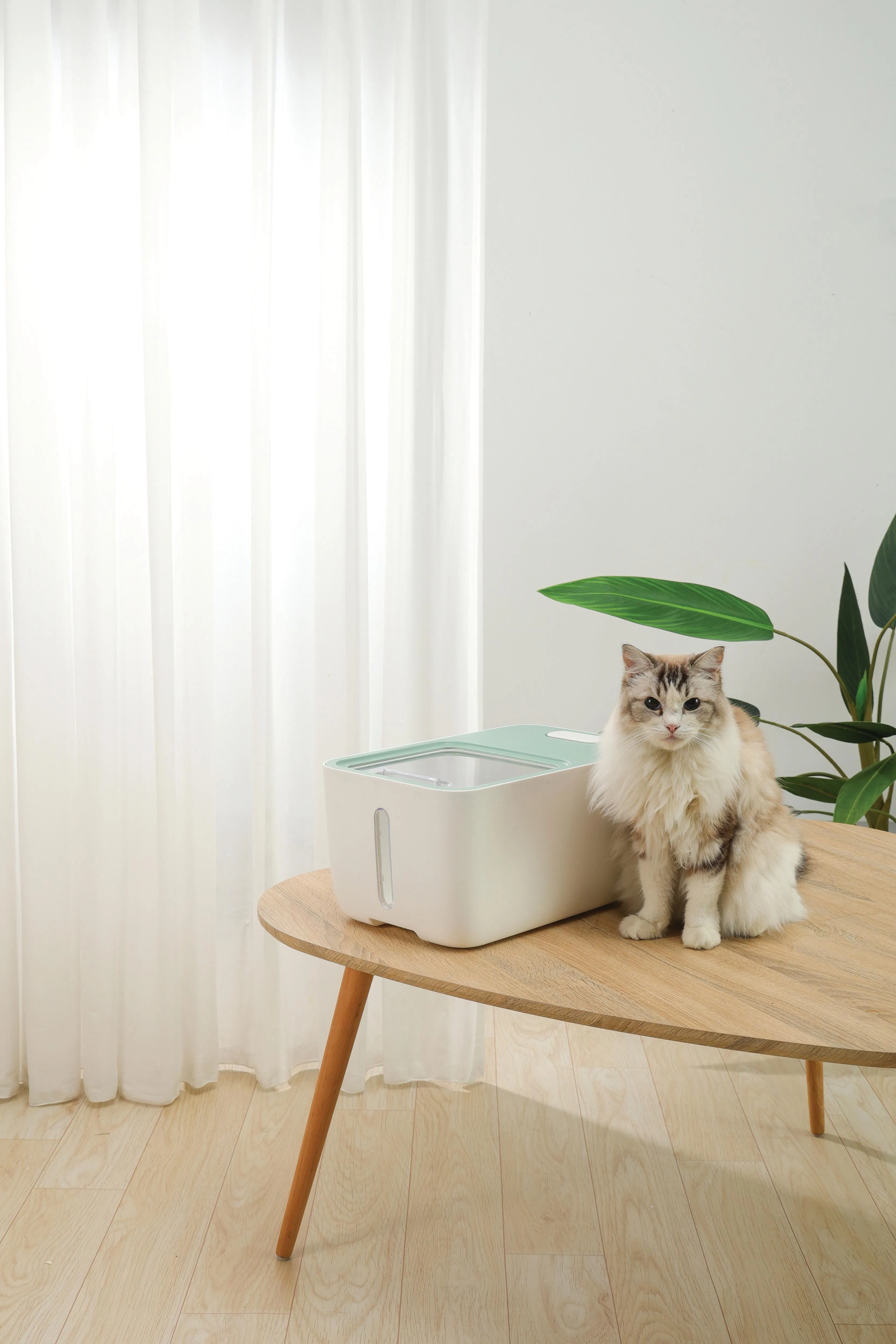 BOXI Food Container