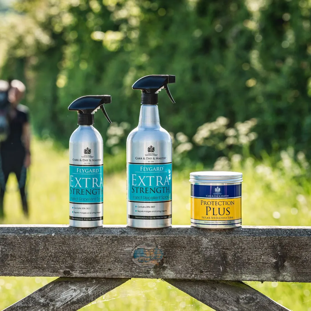 Carr & Day & Martin Flygard Extra Stength Insect Repellent Spray