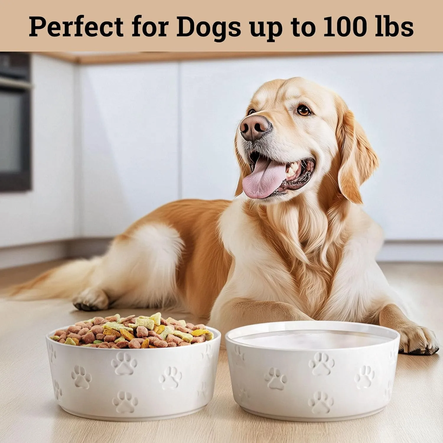Ceramic Dog Bowl Set of 2 with Anti-Skid Base - 7.5" Wide x 3" Tall Ceramic Dog Bowls for Large Dogs - 5 Cup Capacity Food and Water Bowls for Dogs - Rubber Bottom Pet Bowl Set of 2 for Large Pets