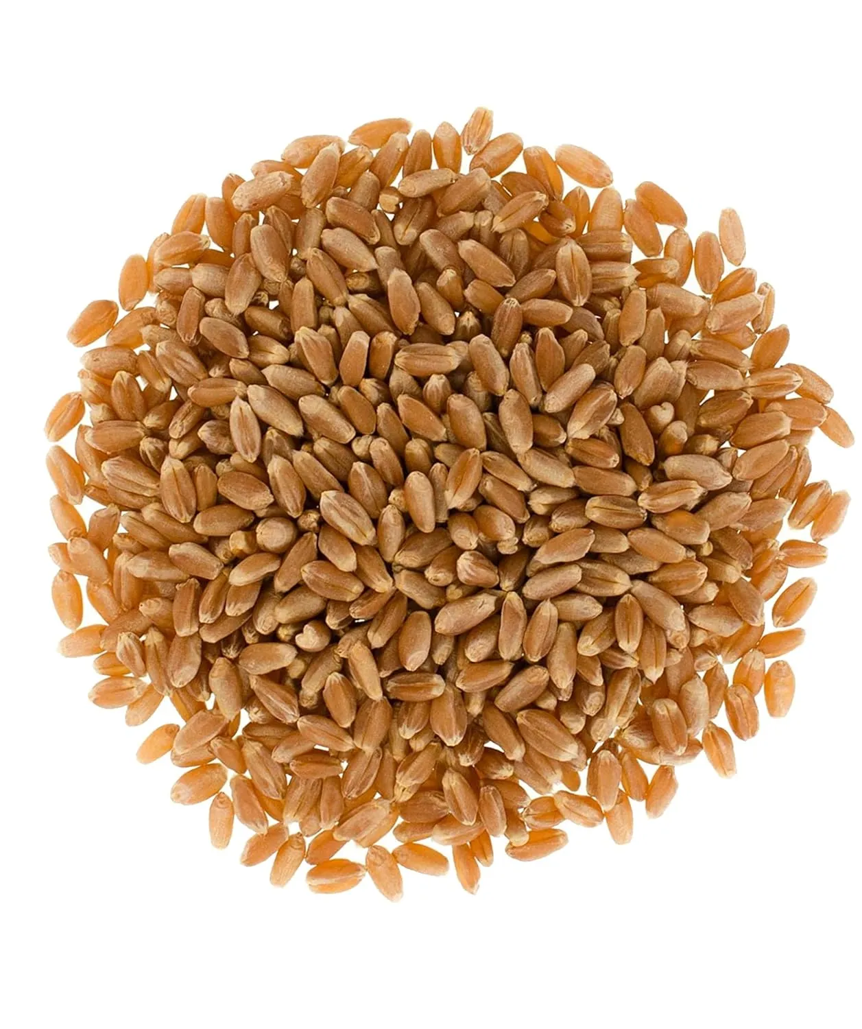 Certified Glyphosate Residue Free Hard Red Spring Wheat Berries | 25 LBS | Meet the Farmers | 100% Desiccant Free | Sproutable | Non-GMO Project Verified | Kosher | Poly Bag