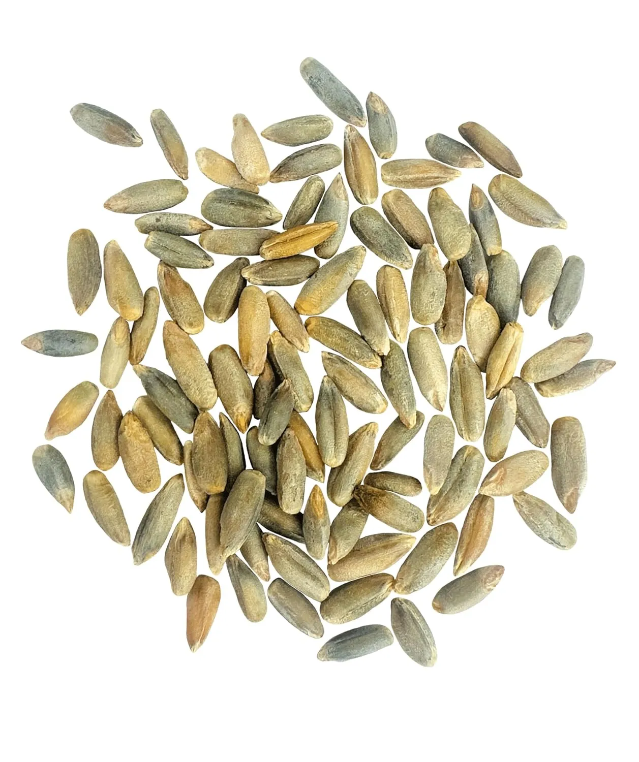 Certified Glyphosate Residue Free Rye Berries | Washington State Grown | 4 lbs | Non-GMO | Clear Creek Foods