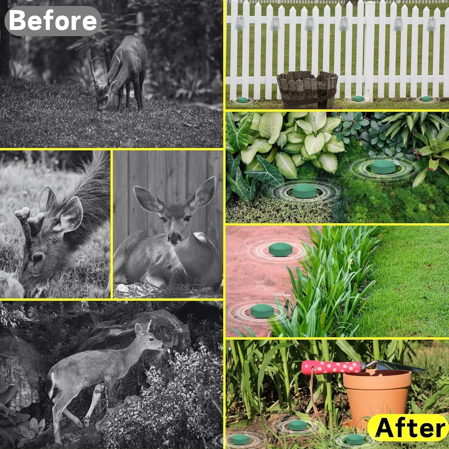 Deer & Rabbit Repellent for Outdoor Plants - Natural Garden Yard Deterrent Balls, Long-Lasting Protection for Trees, Flowers & Vegetables | Pet-Safe,12 PCS