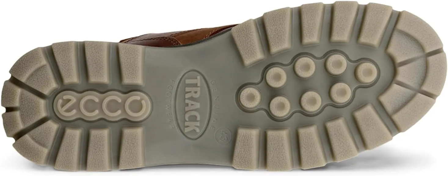 ECCO Men's Track 25 High Gore-tex Waterproof Hiking Boot