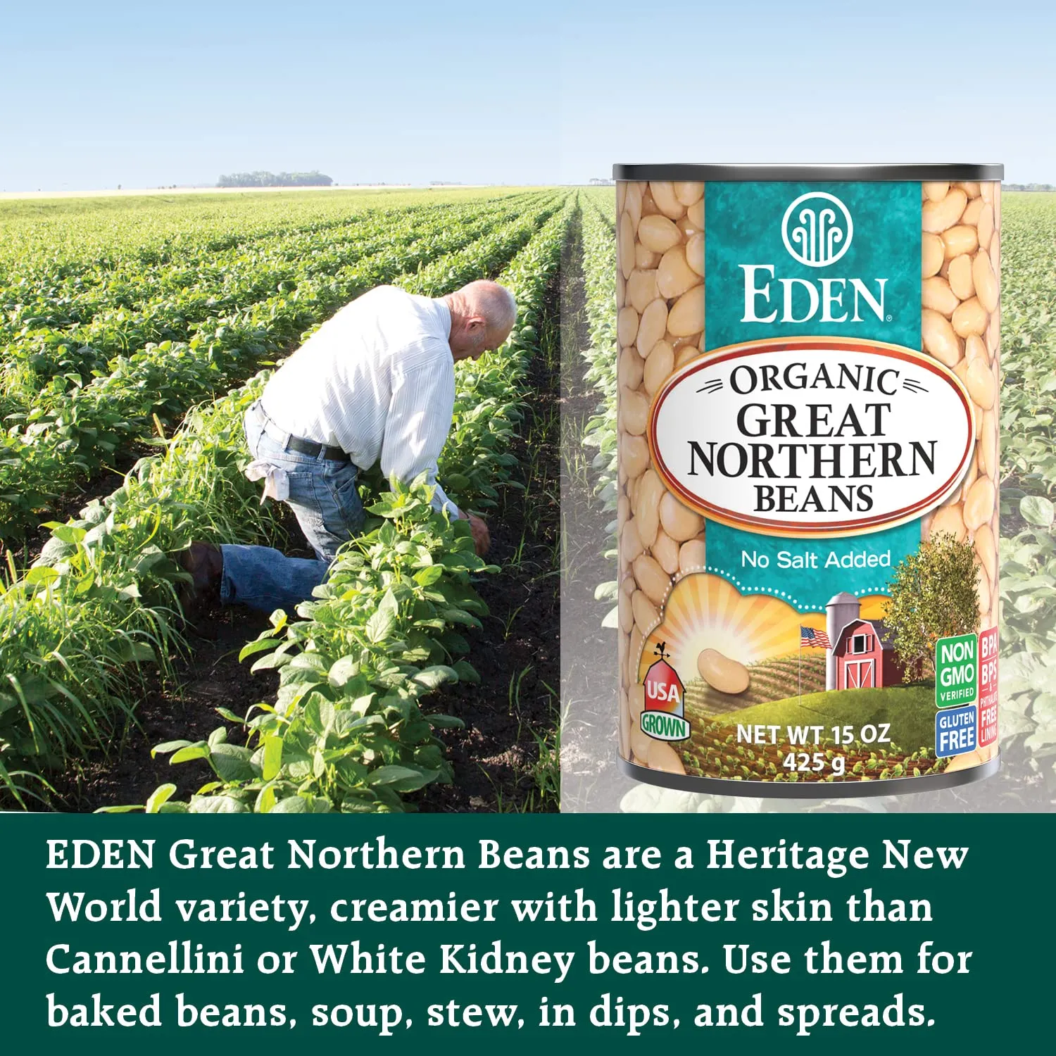 Eden Organic Great Northern Beans (White Beans), 15 oz Can (12-Pack Case), No Salt Added, Non-GMO, Gluten Free, U.S. Grown, Heat and Serve, Macrobiotic, Similar to Cannellini, Smoother