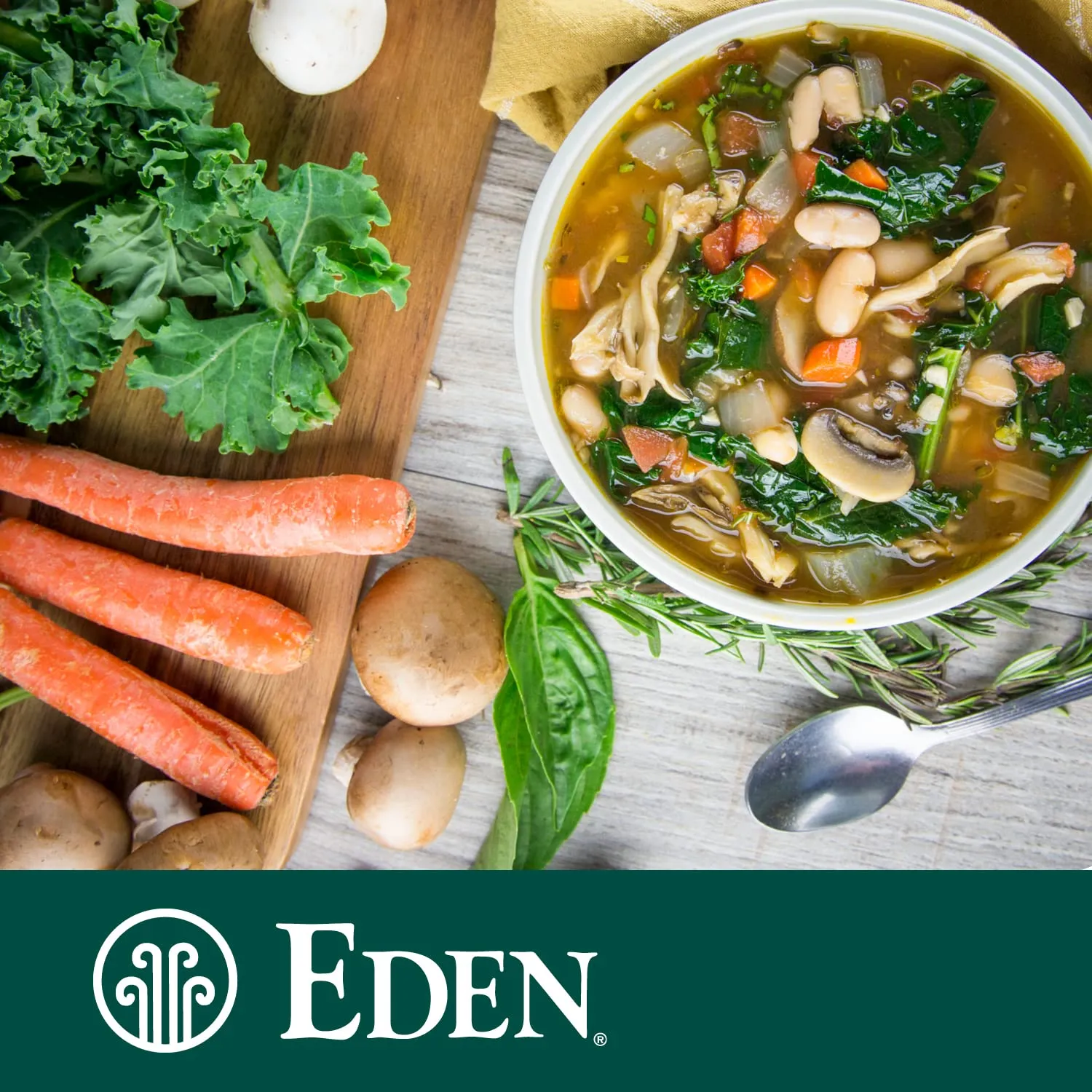 Eden Organic Great Northern Beans (White Beans), 15 oz Can (12-Pack Case), No Salt Added, Non-GMO, Gluten Free, U.S. Grown, Heat and Serve, Macrobiotic, Similar to Cannellini, Smoother