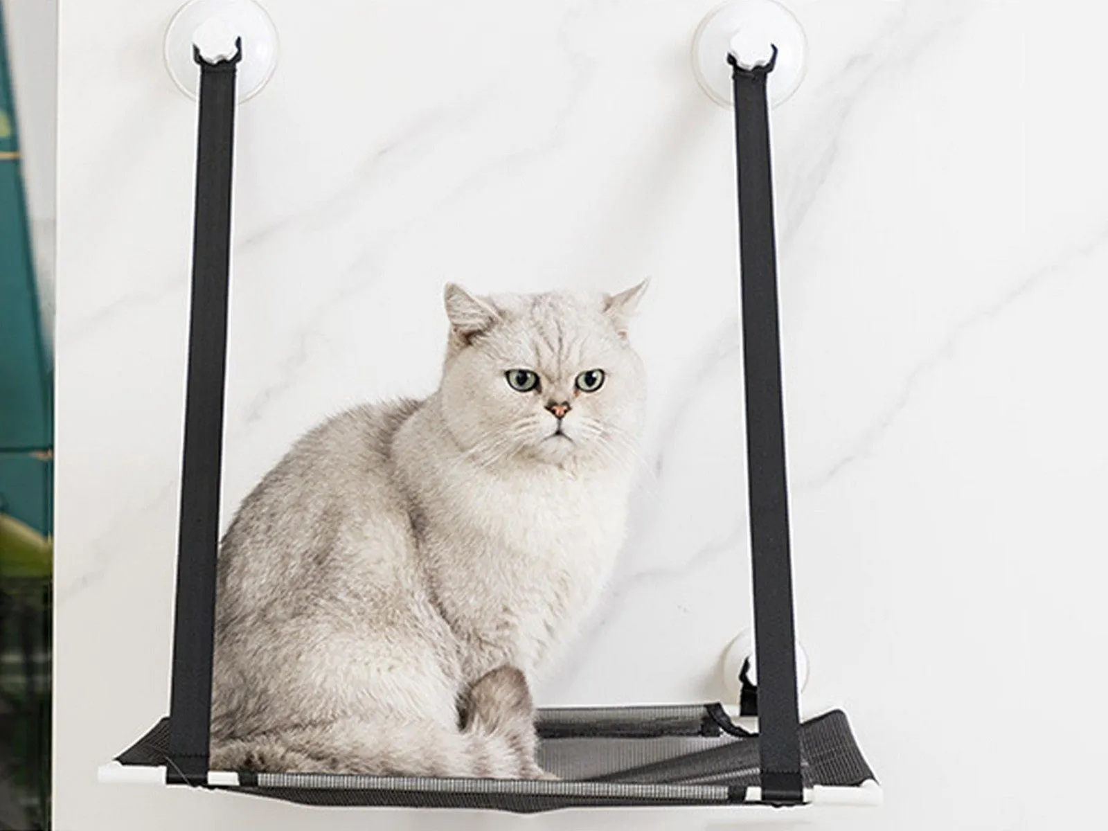 Extensive selection Cat Hammock Single Hanging Premium customer care Bed Layer - Black Summer