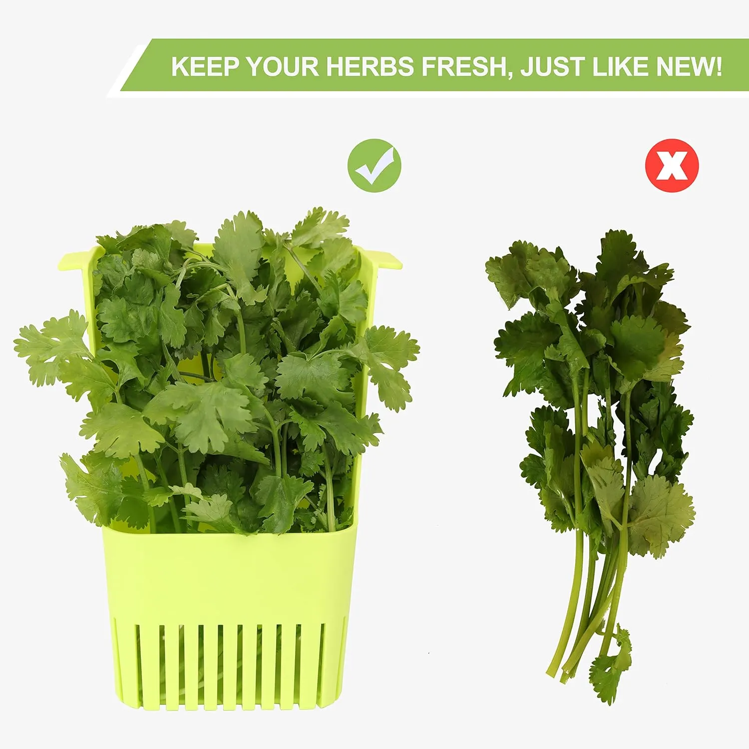 Fresh Herb Keeper for Refrigerator, Clear BPA-Free Herb Saver, Storage Container for Cilantro, Parsley, Thyme, Mint & Asparagus, Preserver Keeps Fresh Herbs for 3 Times Longer, Green & Orange