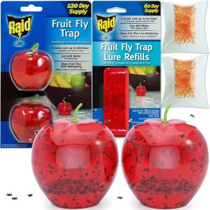 Fruit Fly Traps for Indoors by Raid | 2 Lures   2 Refills | Effective Fruit Fly Trap for Indoor Use | Fruit Fly Killer & Gnat Traps for House Indoor | Easy to Use & Safe Food-Based Lure Fly Catcher