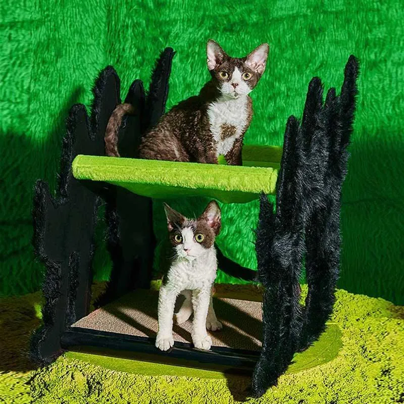 Halloween  Gothic Cat Bed Hammock Green Scratching Board