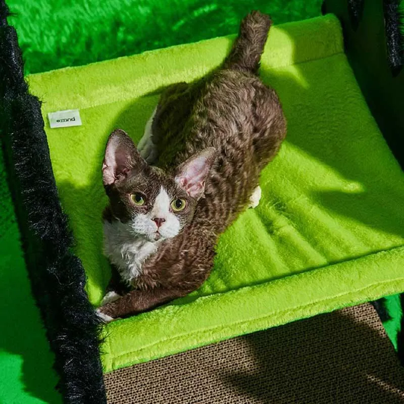 Halloween  Gothic Cat Bed Hammock Green Scratching Board
