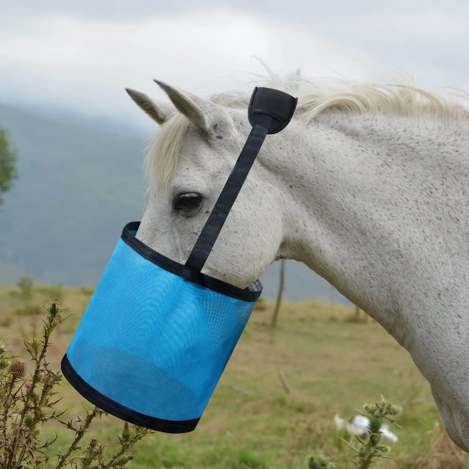 Horse Feed Bag Heavy Duty Textilene Mesh Feed Rite Bag with Adjustable Strap and Comfortable Neck Pad,Reinforced Bottom Stitching,Quick Clip Buckle and Spill-Proof Grain Feed Bag (S, Blue)