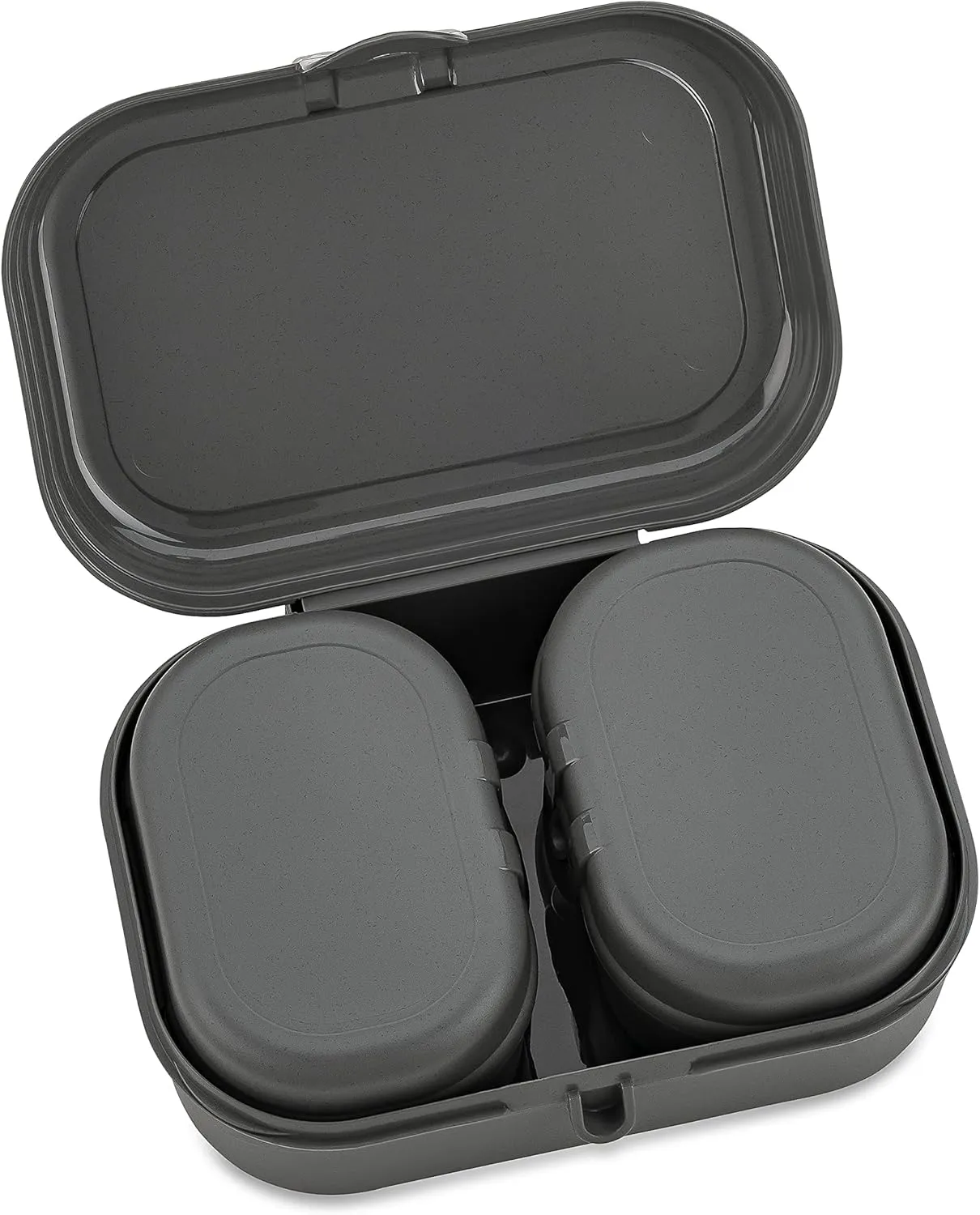 Koziol 7151701, Breakfast Box, Lunch to go, Meal prep, Nature Ash Grey