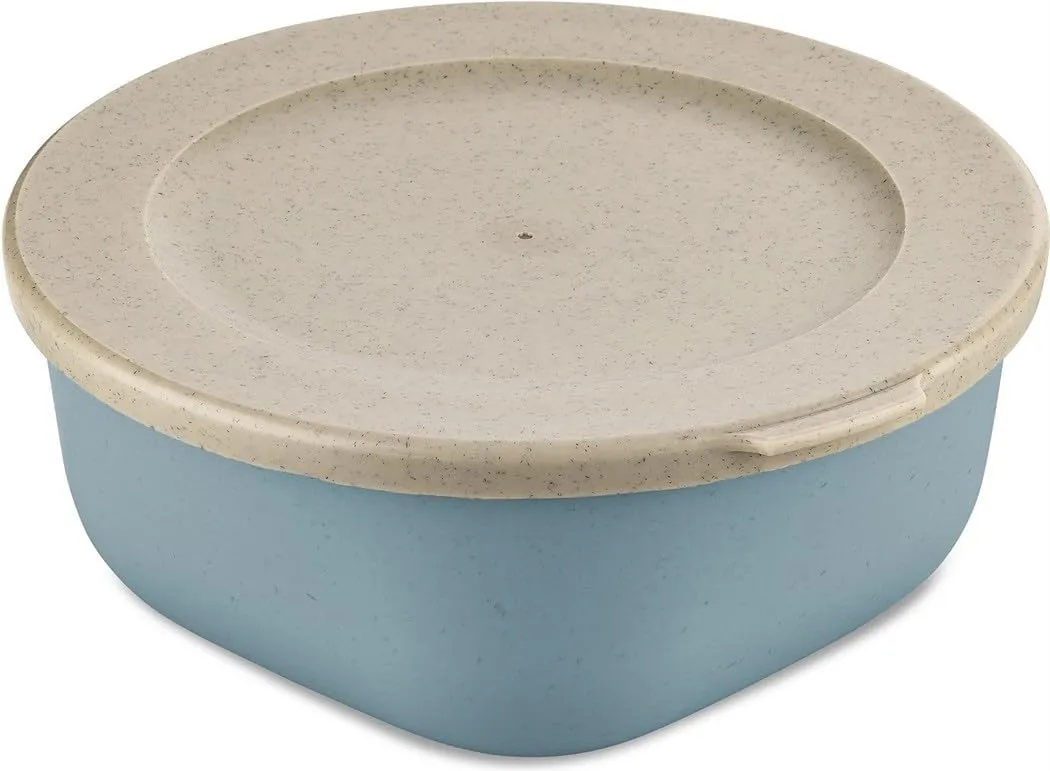 Koziol Connect Box 7274716 0.7 Litres with Lid Natural Flower Blue