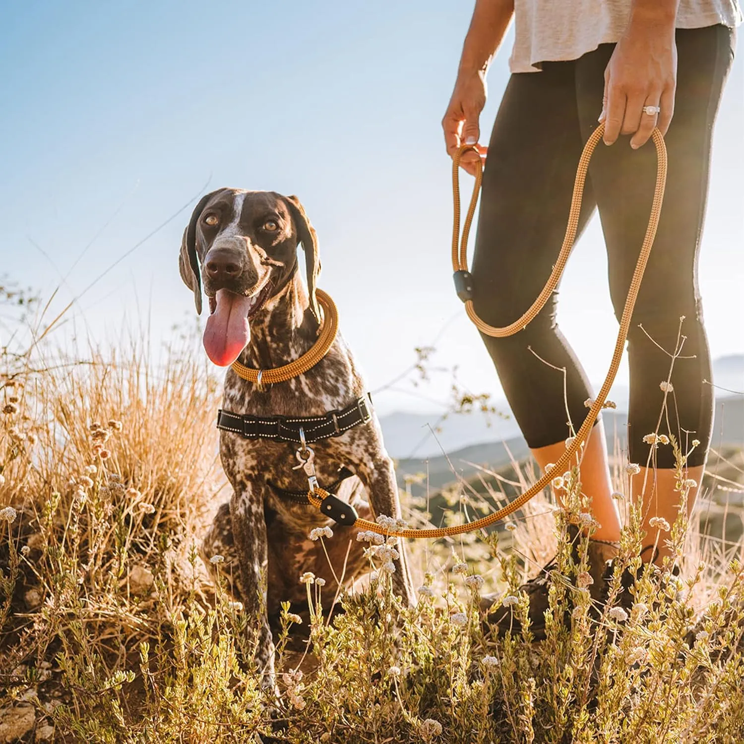 Lifetime Leash by Atlas Pet Company | Ultra Strong Dog Leash Made with Climbing Rope