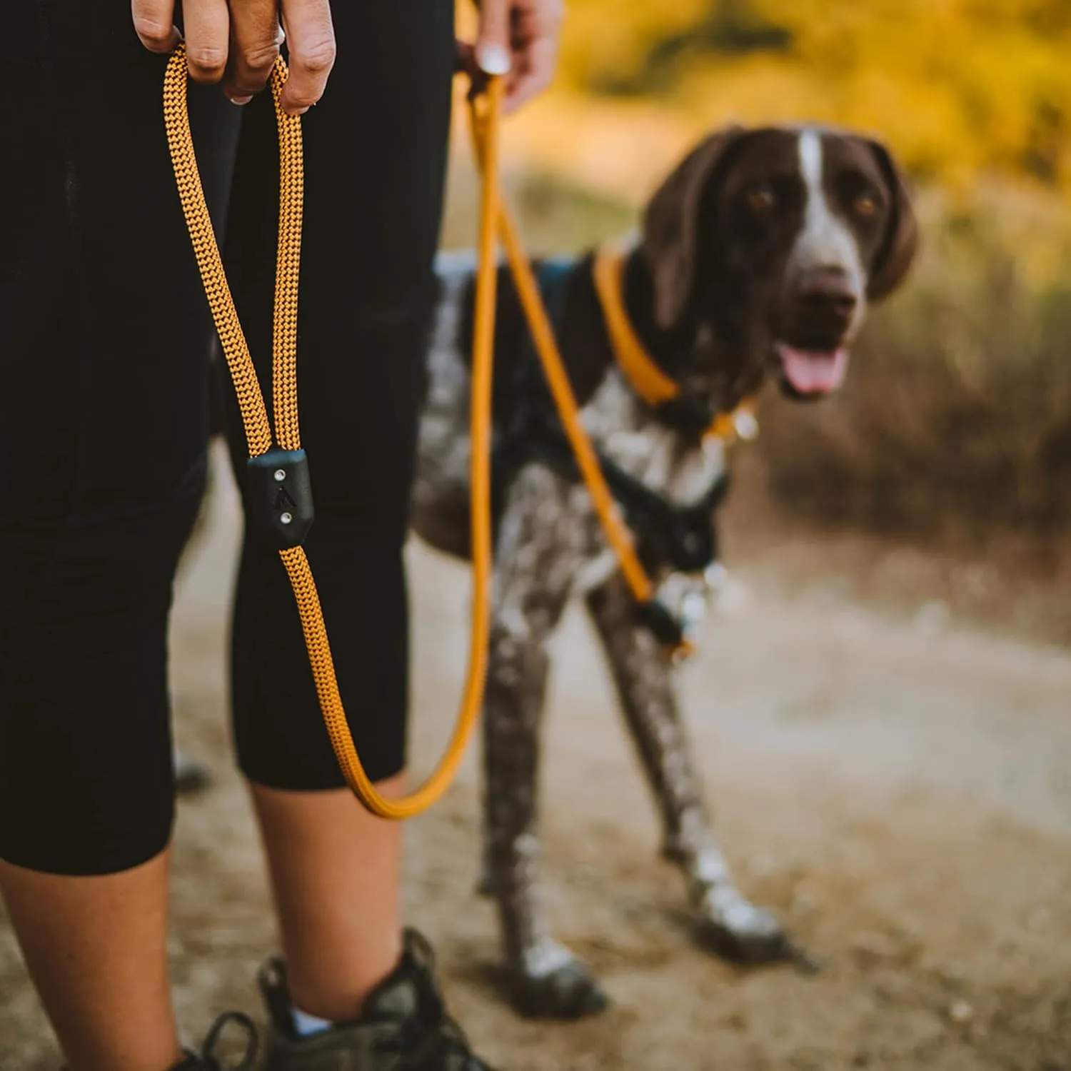 Lifetime Leash by Atlas Pet Company | Ultra Strong Dog Leash Made with Climbing Rope
