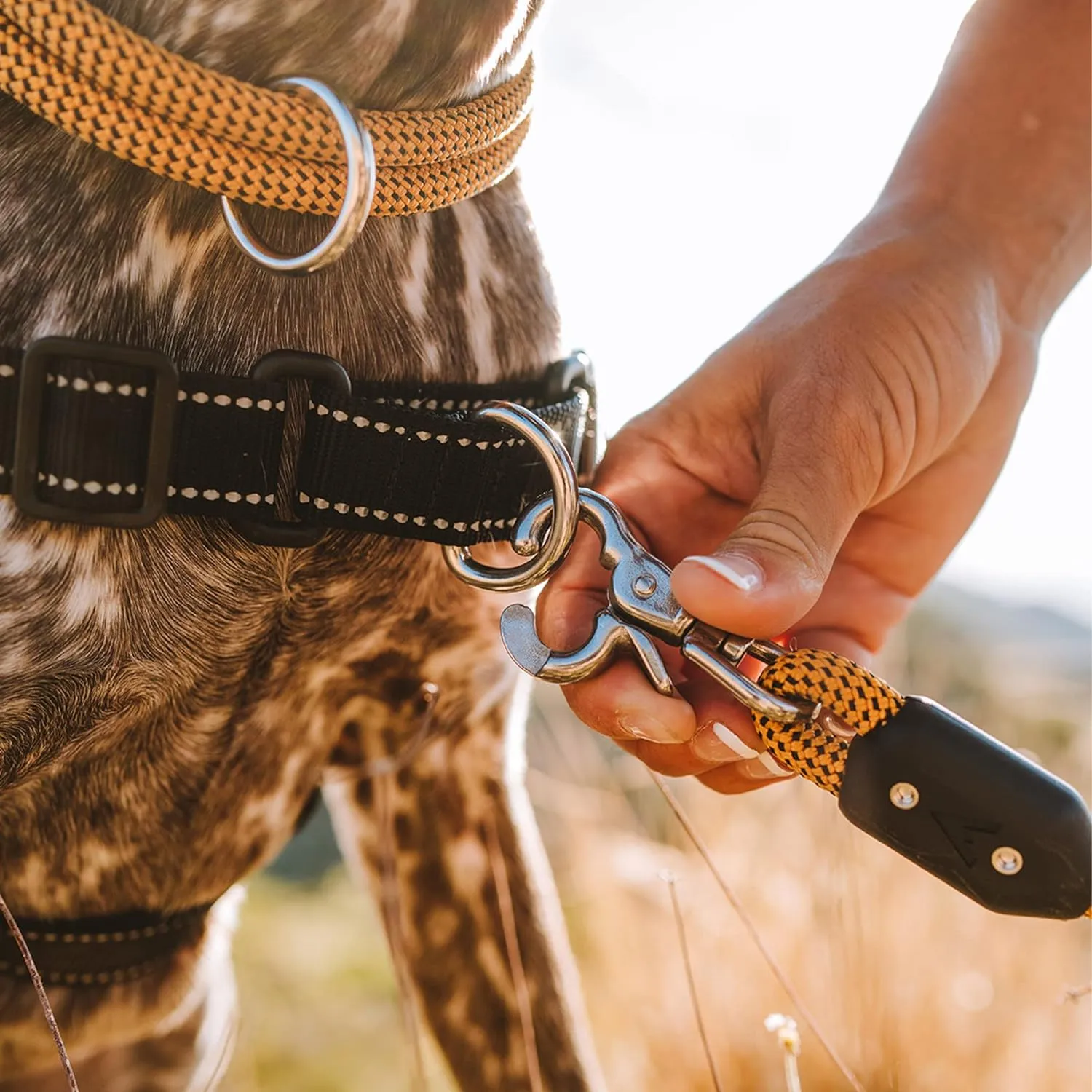 Lifetime Leash by Atlas Pet Company | Ultra Strong Dog Leash Made with Climbing Rope