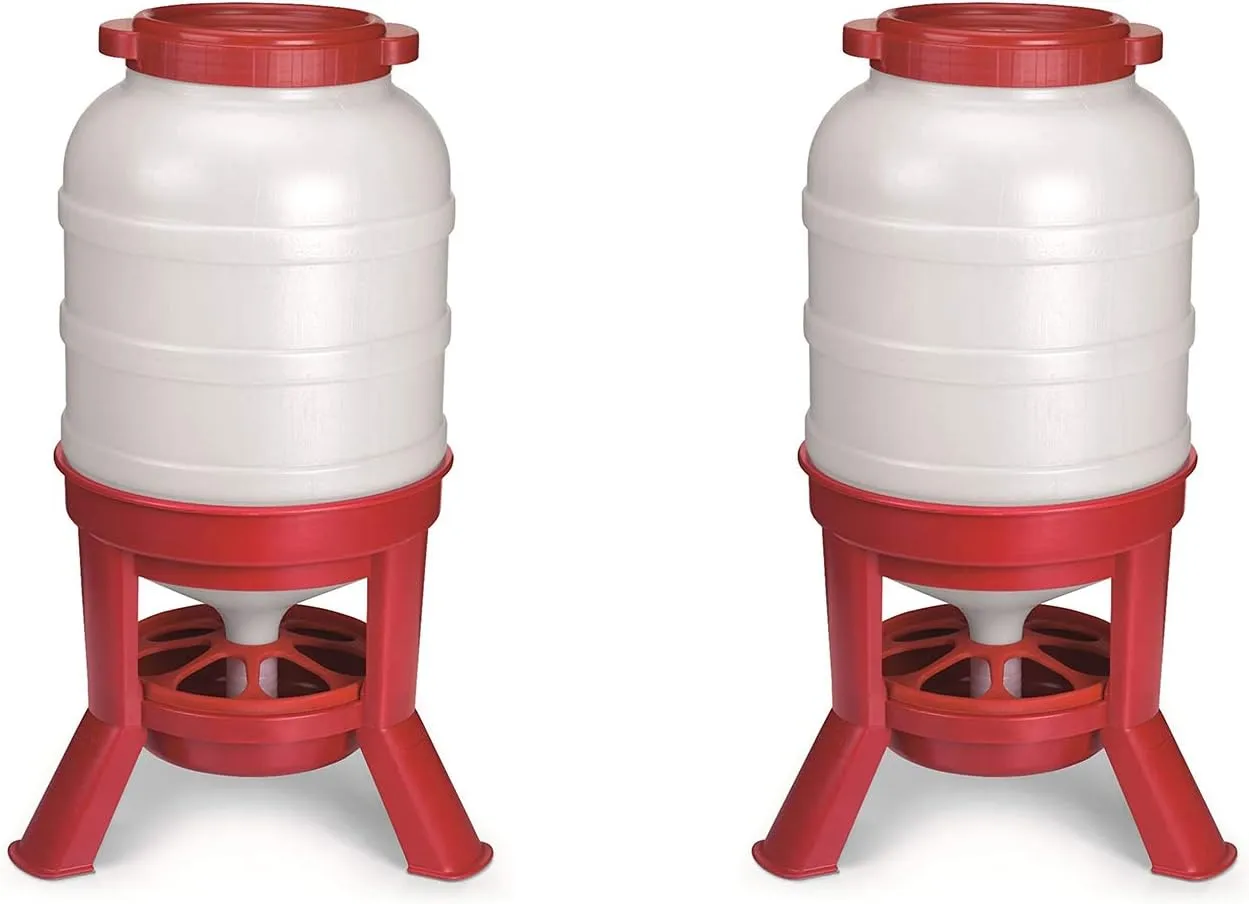 Little Giant Plastic Dome Feeder (60 Lb) Heavy Duty Plastic Gravity Fed Poultry Feed Container Tank (Red) (Item No. DOMEFDR60) (2 Pack)