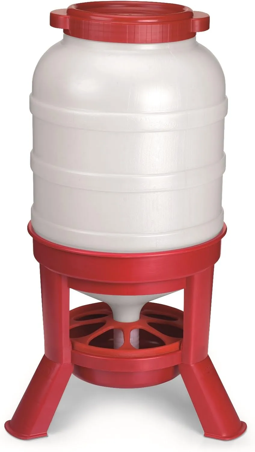 Little Giant® Plastic Dome Feeder | Heavy Duty Plastic Gravity Fed Poultry Feed Container Tank | Backyard Poultry for Hobbyists, Farmers and Ranchers | 60 LB