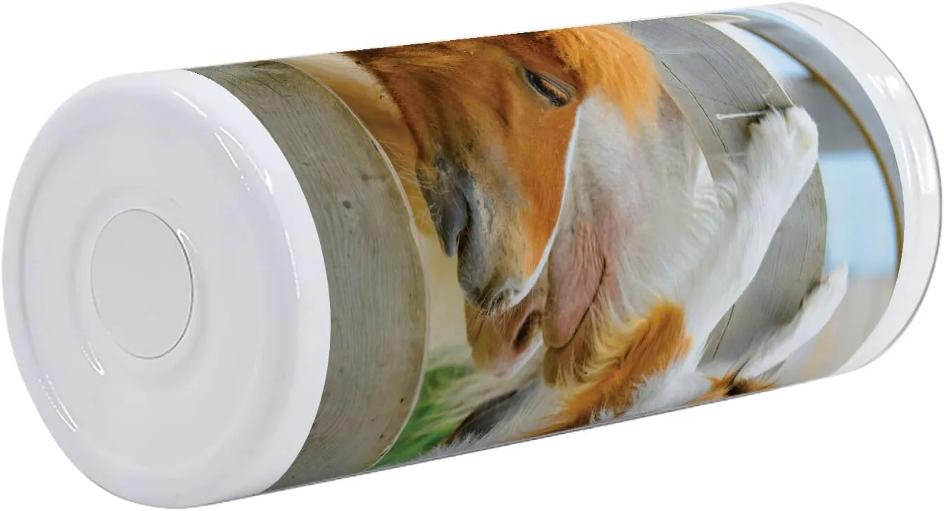 Lunarable Nature 12 Oz Skinny Tumbler, Pony and Border Collie Dog are Dating Friendship Companionship Themed Nature, Vacuum Insulated Travel Canteen Cup Leakproof for Travel Picnic, Amber Tan Grey