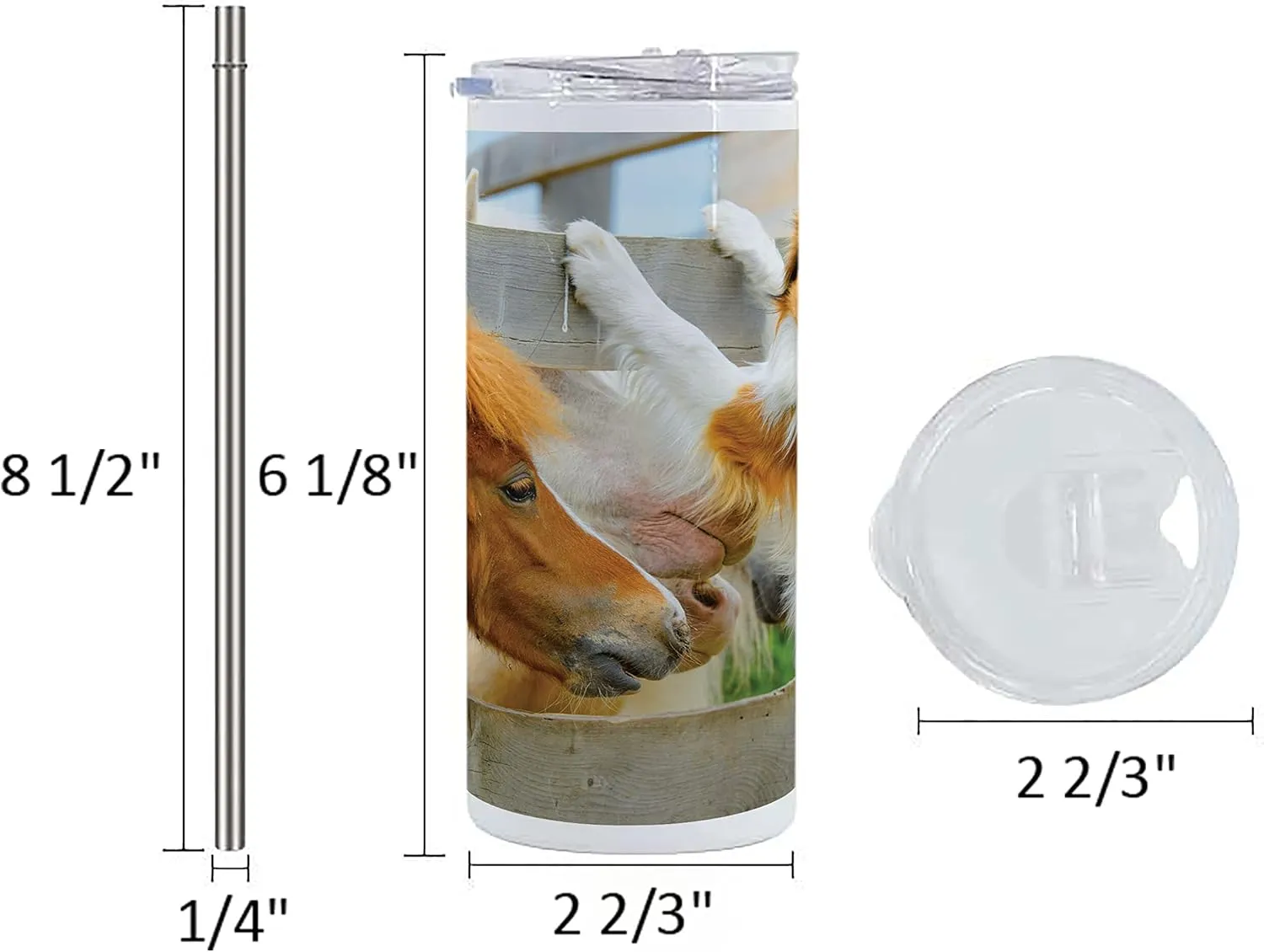 Lunarable Nature 12 Oz Skinny Tumbler, Pony and Border Collie Dog are Dating Friendship Companionship Themed Nature, Vacuum Insulated Travel Canteen Cup Leakproof for Travel Picnic, Amber Tan Grey
