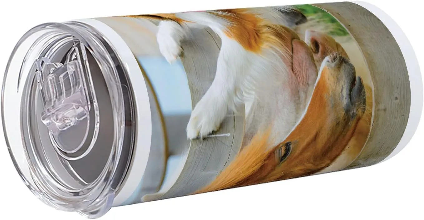 Lunarable Nature 12 Oz Skinny Tumbler, Pony and Border Collie Dog are Dating Friendship Companionship Themed Nature, Vacuum Insulated Travel Canteen Cup Leakproof for Travel Picnic, Amber Tan Grey