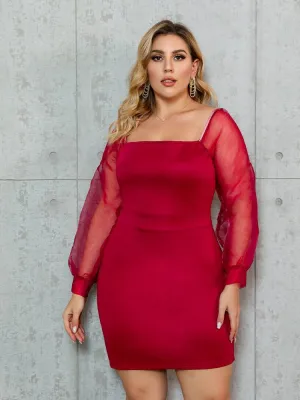 Mesh Lantern Sleeve Dress