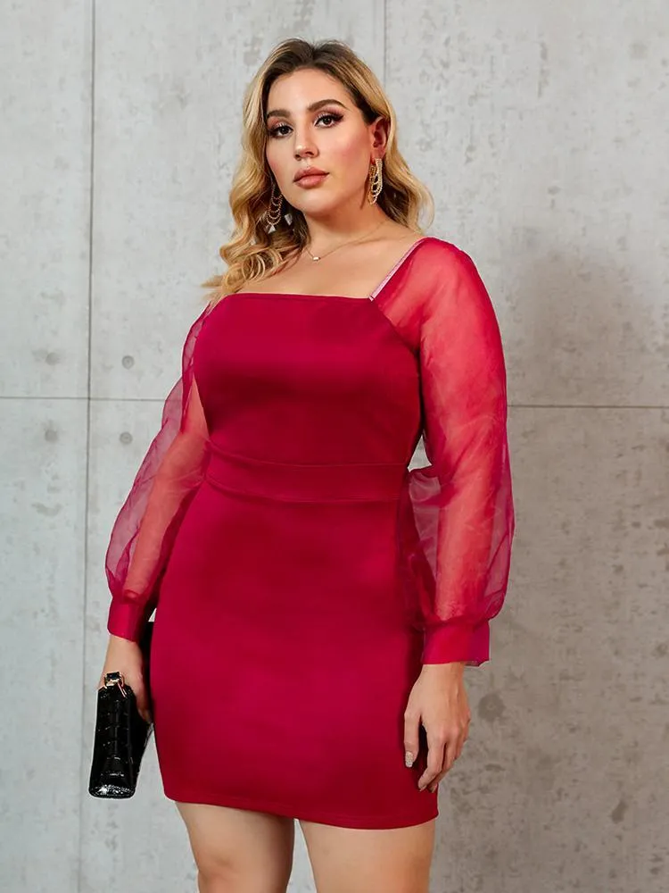 Mesh Lantern Sleeve Dress