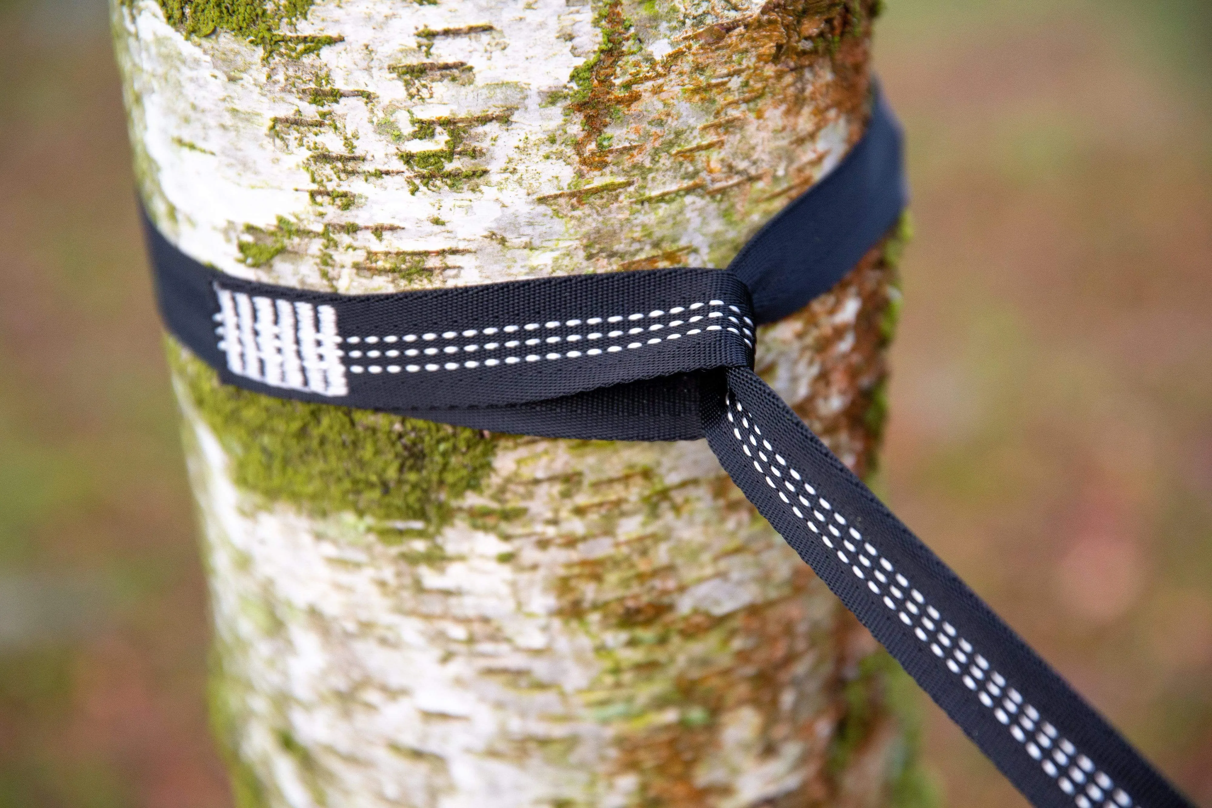 Mora Hammock