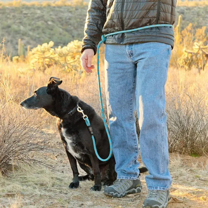 Mountain Dog 7' Versatile Standard Assorted Colours
