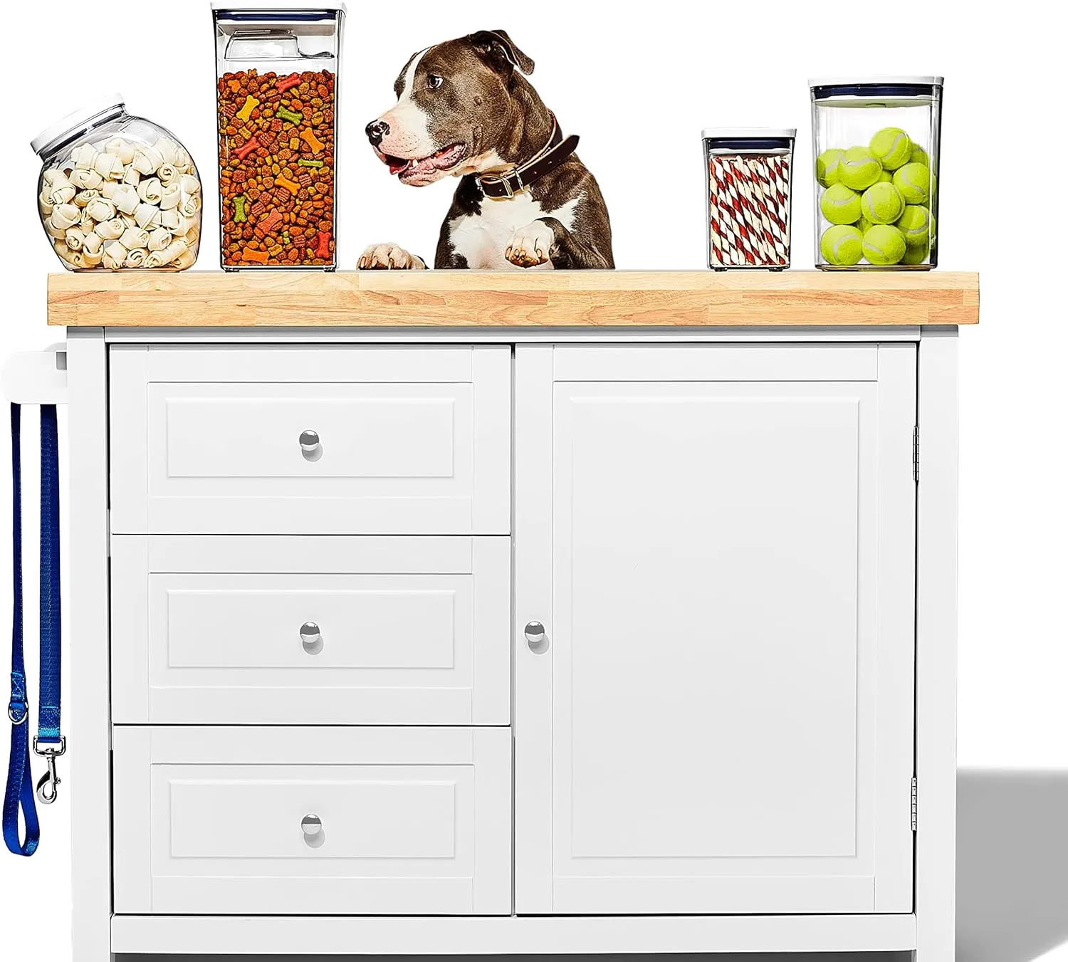 OXO Good Grips Pet POP Container – 4.4 Qt/4.2 L with Scoop |Ideal for up to 4lbs of Dog Food or 3.5lbs of Cat Food | Airtight Storage Container | BPA Free