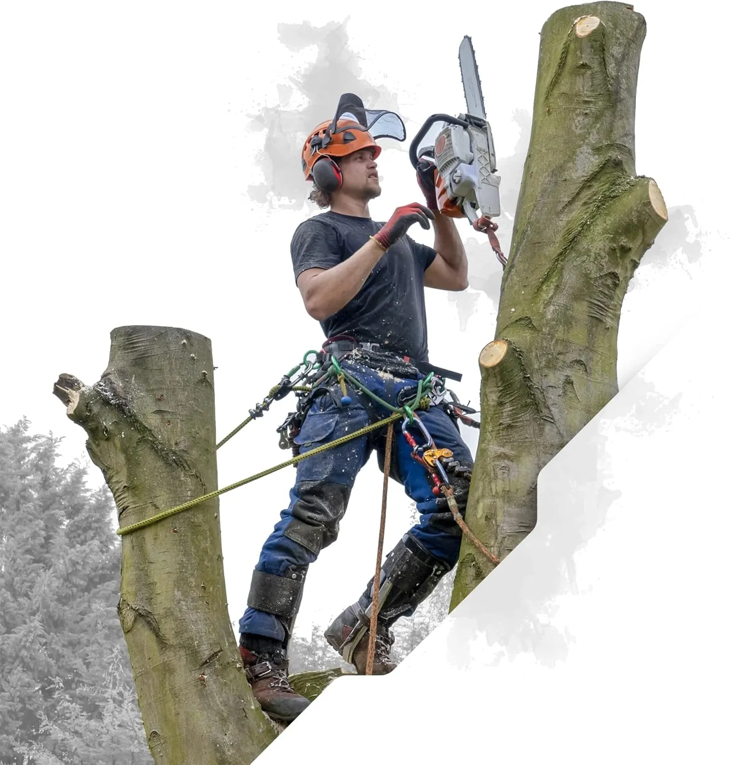 Pelican Rope 24-Strand 7/16 in (11 mm), USA Made Arborist Rope - 5,400 lb MBS - Static Climbing Rope - Lightweight - Arborist-24™ - 120 Ft - Tight Spliced Eye - Yellow Black