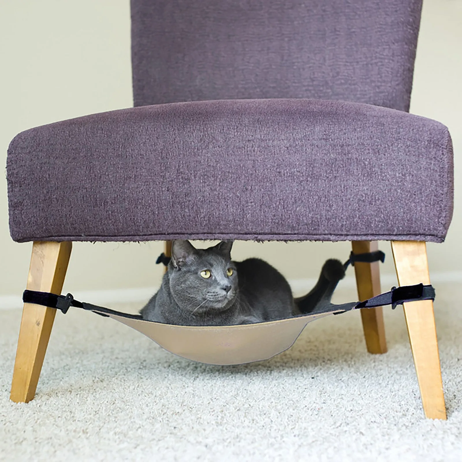 Popular pick Hammock Helpful Chair Cat