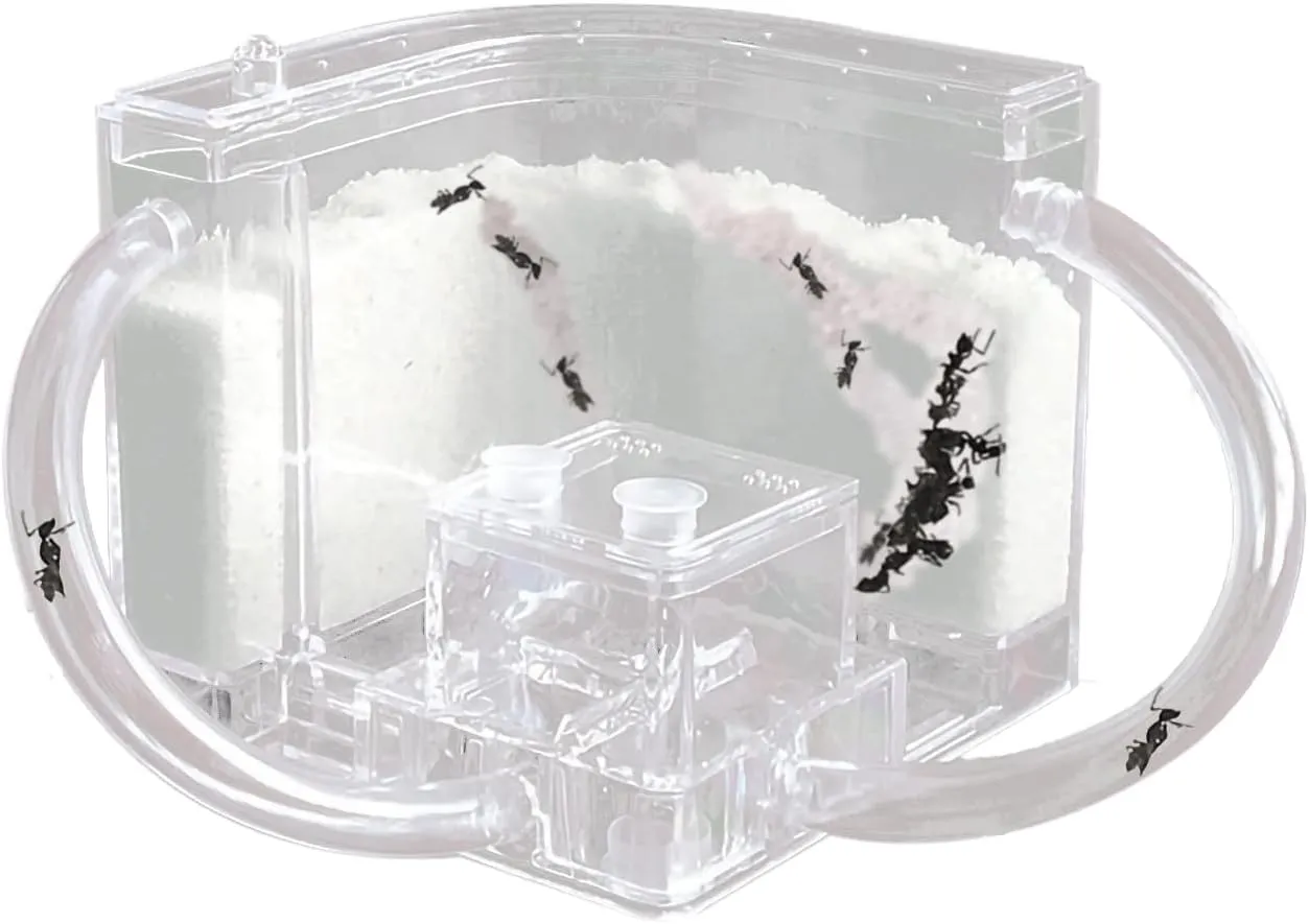 Sand Ant Farm with Connecting Tubes,Live Ant Habitat Colony Ecosystem Terrarium Kit for Kids to Study Insect Behavior