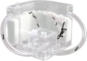 Sand Ant Farm with Connecting Tubes,Live Ant Habitat Colony Ecosystem Terrarium Kit for Kids to Study Insect Behavior