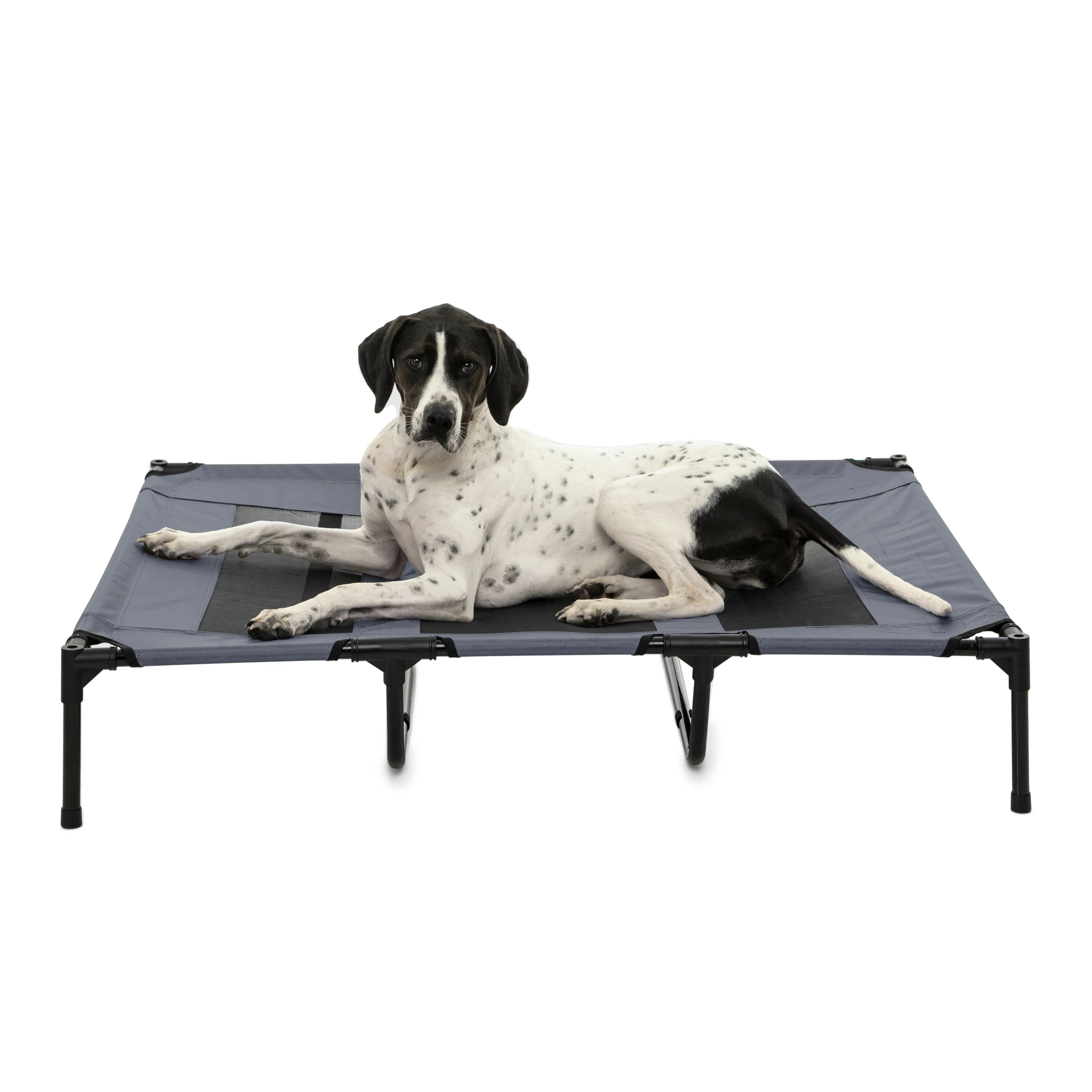 Shadey Trampoline Hammock Tent Pet Bed