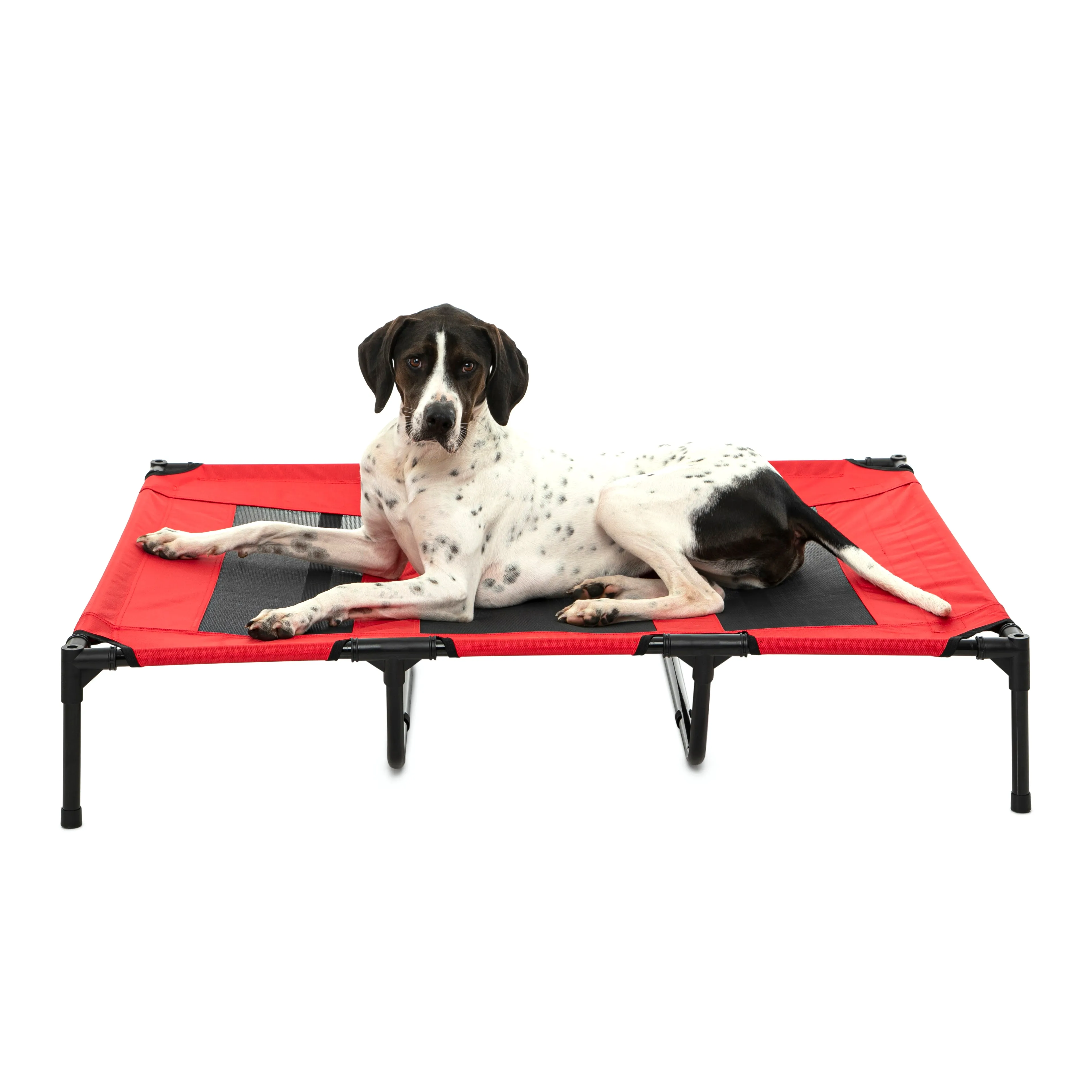 Shadey Trampoline Hammock Tent Pet Bed