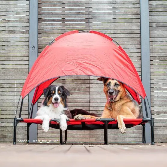 Shadey Trampoline Hammock Tent Pet Bed