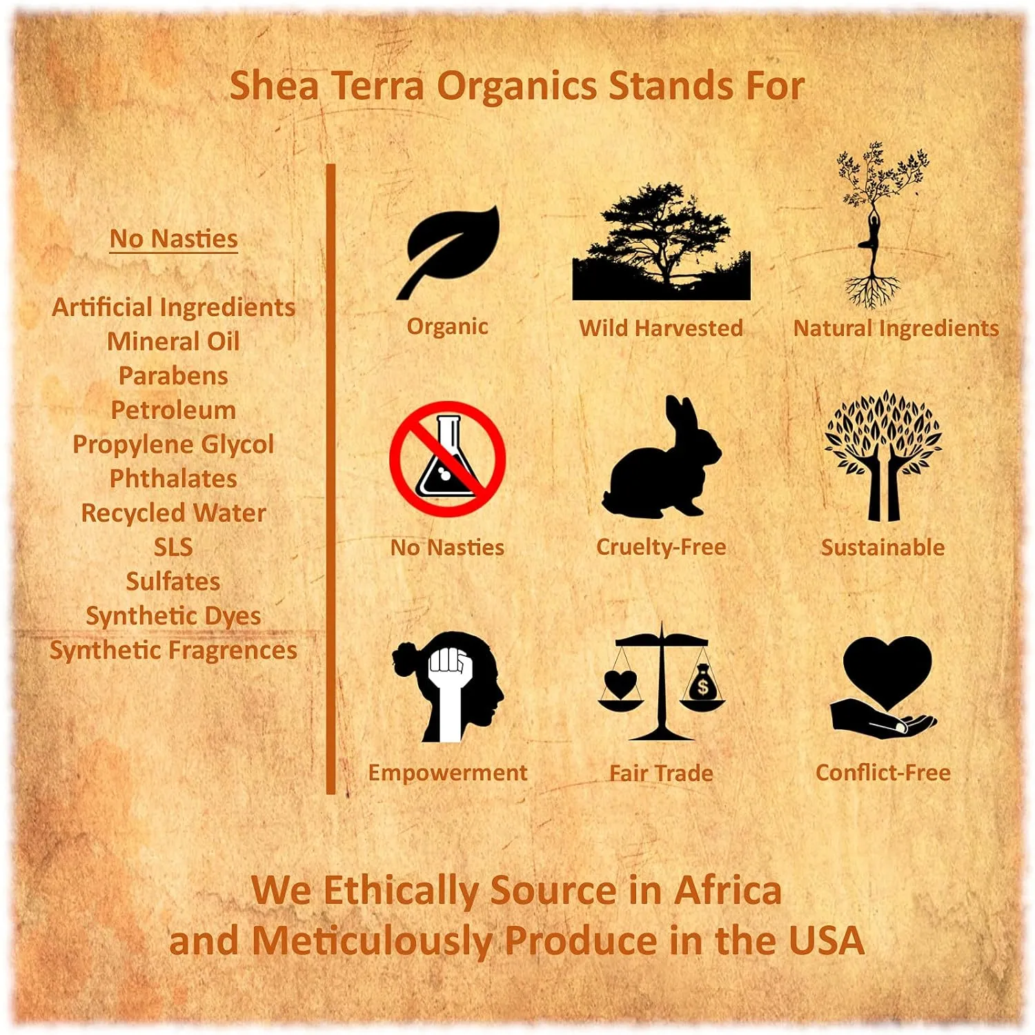 Shea Terra Madagascar Tamanu Cold-pressed Extra Virgin Oil |All Natural & Organic Oil Rich in Anti-Aging Amino Acids & Anti-Acne Properties for Softer, Hydrated & Blemish-Free Skin – 2 oz