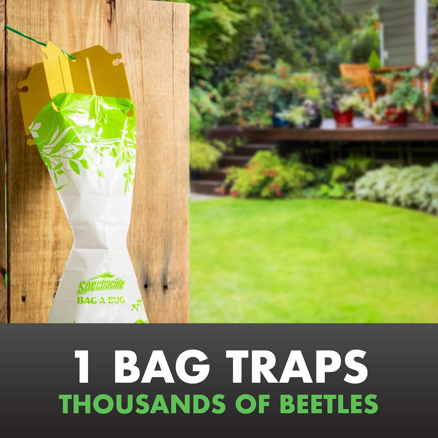 Spectracide Bag-A-Bug Japanese Beetle Trap, Replacement Lure, 1 Count, Pack of 12